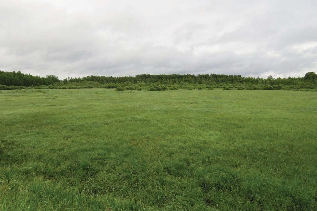 Aluekuvaukset Kytäjärven patoallas, 25 ha, 210110 Alue on padolla erotettu Kytäjärven itäpää. Pato liittyy vesistöjen säännöstelyyn. Pato rakennettiin v.