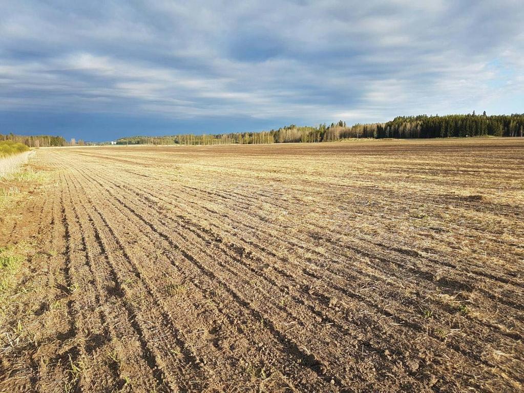 Kytäjän pellot, 1555 ha, 211163 Kytäjän pellot on lännestä itään levittäytyvä iso yhtenäinen peltoaukea, noin kolmen kilometrin etäisyydellä Hyvinkään taajamasta, sen länsipuolella.