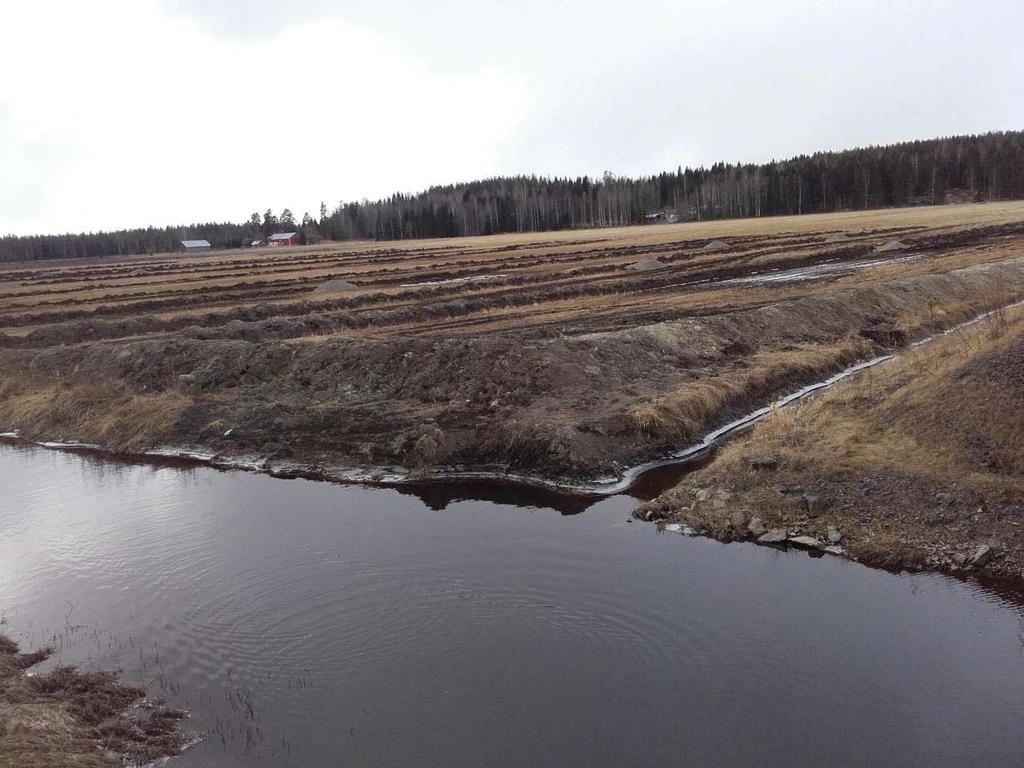 Livinkylän ja Kytäjän pellot on erittäin merkittävä muuttolintujen levähdysalue Uudellamaalla (Ellermaa 2011). Laajan peltoaukean tulvaherkkyys on pääasiallinen syy muuttolintujen suosioon.