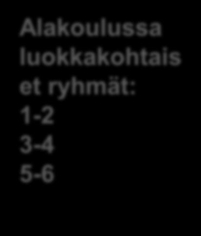 Yläkoulussa aineryhmät: MA, KE, FY BI, GE, TE YH, HI,