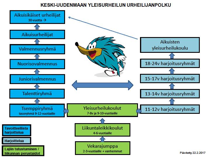 2 URHEILUTOIMINNAN PERIAATTEET 2.1 HARJOITUS JA VALMENNUSRYHMÄT Seuran eri harjoitusryhmiä toteutetaan Hyrylässä, Jokelassa, Järvenpäässä, Kellokoskella ja Keravalla.