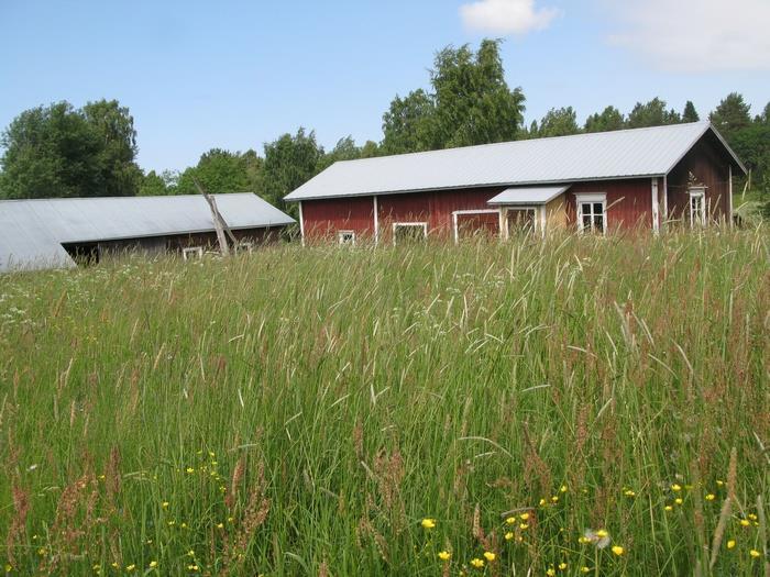 ESITYKSEN SISÄLTÖ Ohjelmia ja strategioita Satakunnassa Reunaehtoja Satakunnan