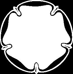 kertausharjoituksilla