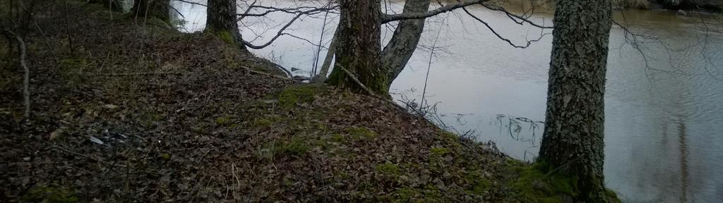 laatija: Akaan