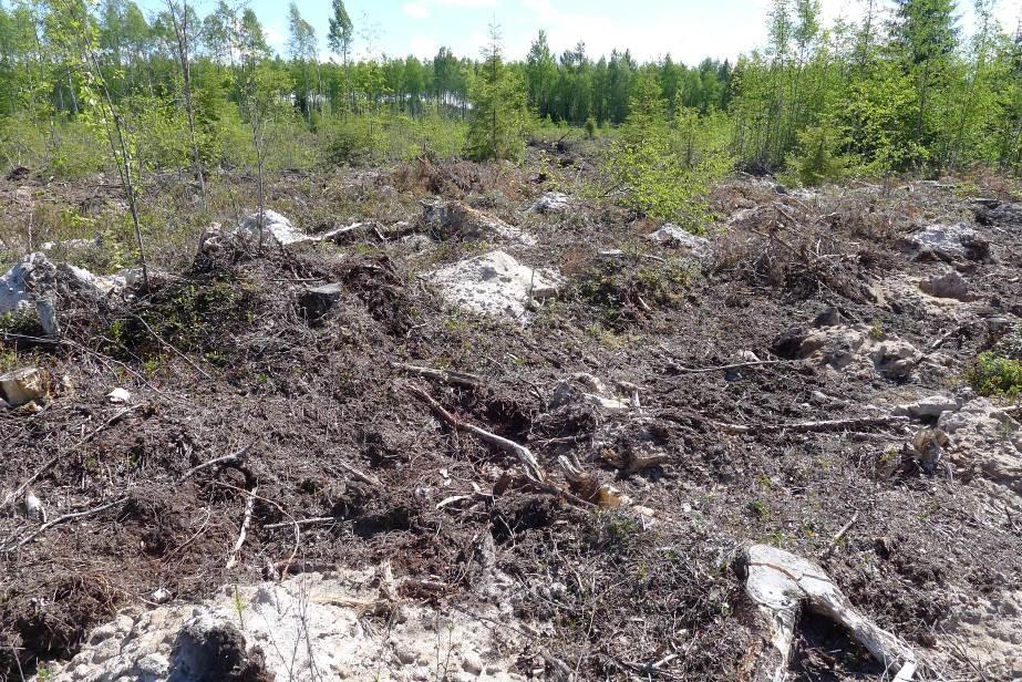 Sähköasema 2 Suunnittelualueen pohjoisosassa sijaitseva sähköasema sijoittuu varttuneelle mäntykankaalle, hiljattain uudistetulle hakkuuaukolle sekä aivan pohjois/koillislaidastaan