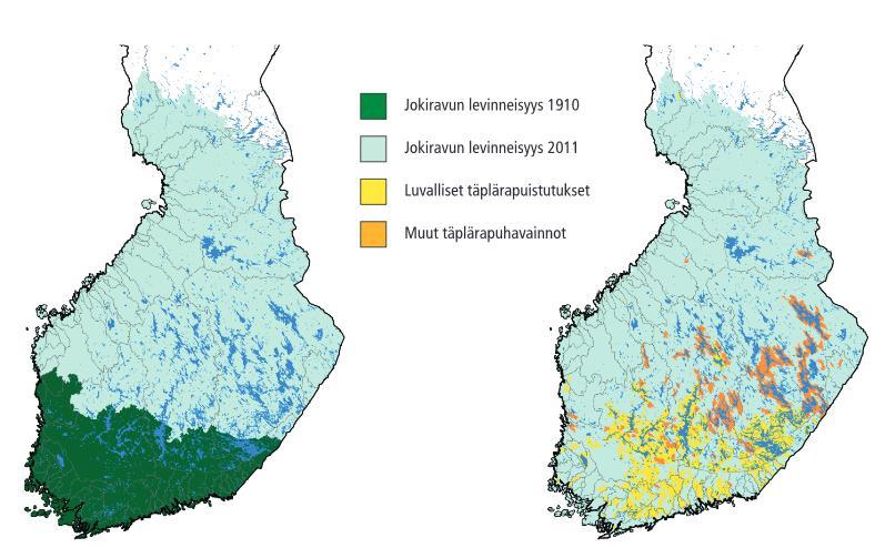 Ravustus Rapua pyydetään Kymenlaaksossa erityisesti Vuohijärvellä, Repovedellä ja Kymijoella, jonne on istutettu rapuja 1990-luvulta lähtien.