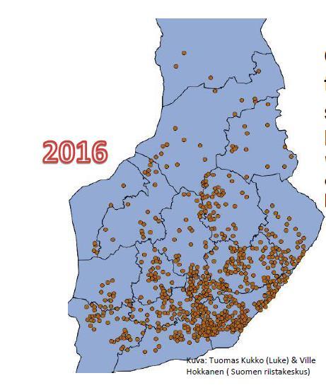 Lähde: Oma riista tietokantatieto sähköisestä hirvitietokortista ( 3370