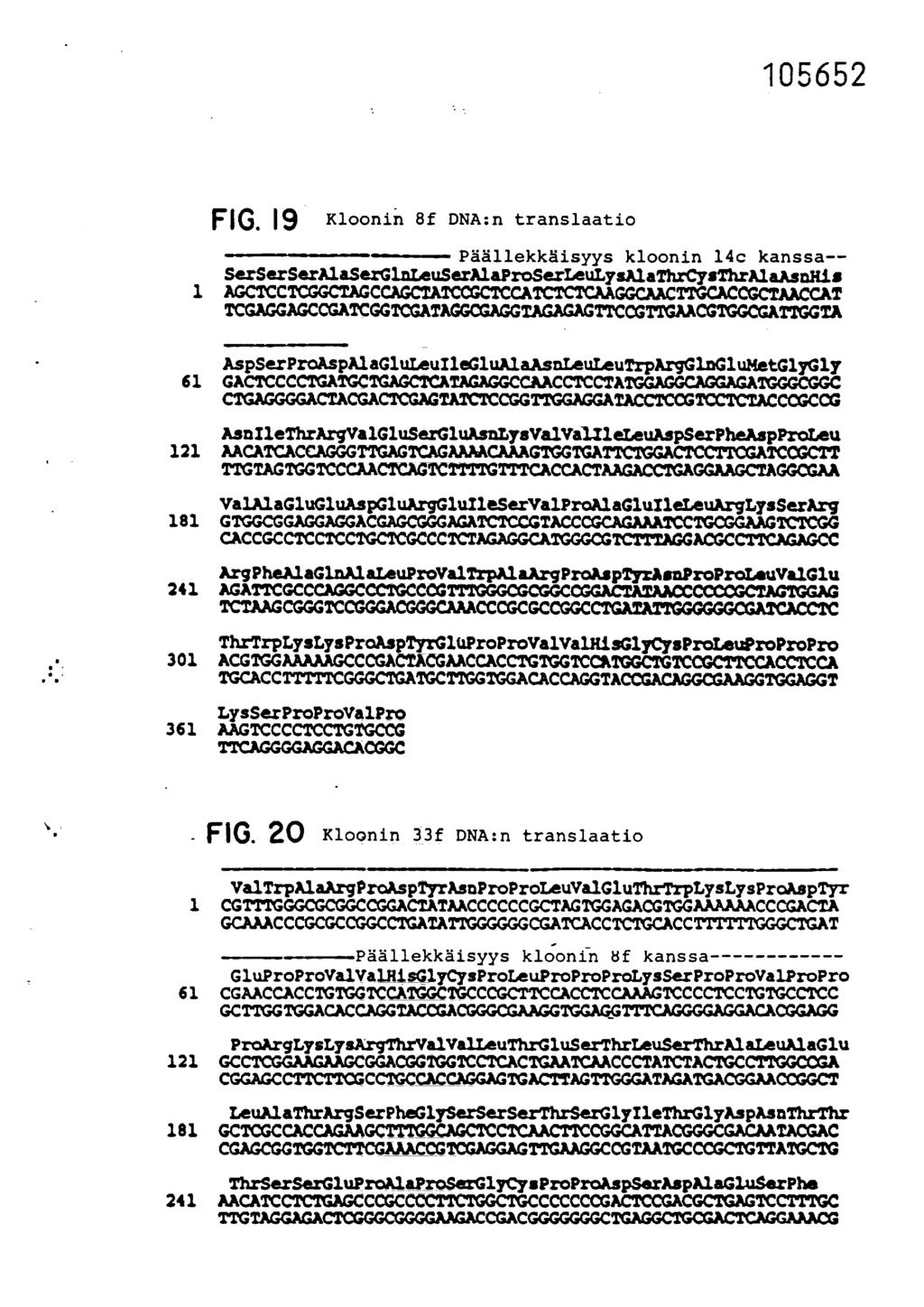 171G. 19 Kloonin 8f DNA:n translaatio Päällekkäisyys kloonin 14c kanssa-- SerSerSerAlaSerGlnLeuSerAlaProSerLeuLysAlaThrCysThrAlaAsnitis 1 AGCTCCTCGGCTAGCCAGCTATCCGCTCCATCTCTCAAGGCAACTIGCACCGCTAACCAT