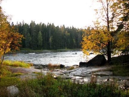 Kaupungeissa asutaan kerros-, rivi- tai omakotitaloissa, maaseudulla on pääasiassa pientaloja.