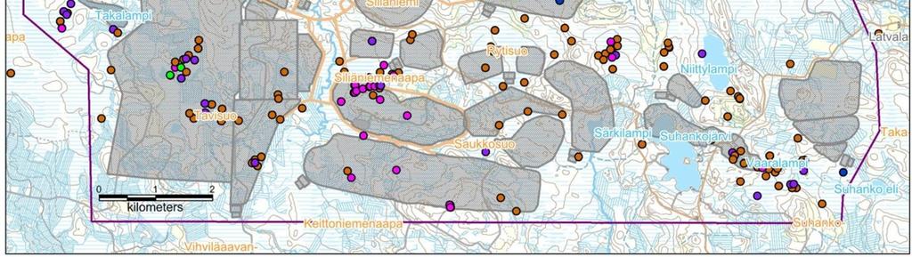 Neidonkenkä kuuluu luontodirektiivilajeihin ja sillä on esiintymä kaivosalueella sekä sen välittömässä läheisyydessä.