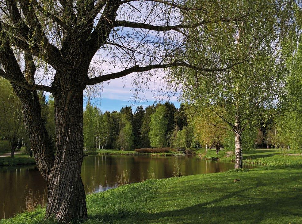 ESIPUHE Vantaalaiset haluavat elää ympäristössä, jossa lähimetsään ja puistoon on lyhyt matka, jossa kasvit ja luonto ovat osa jokapäiväistä elämää.