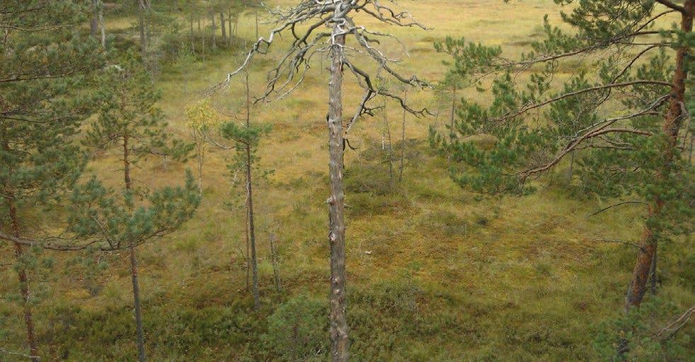 Viljelymaata on 28 % luokitellusta maa-alasta. Viljelyssä, nurmina tai kesantona on 24 % ja viljelystä pois jääneenä mutta ei vielä metsittyneenä 4 %.