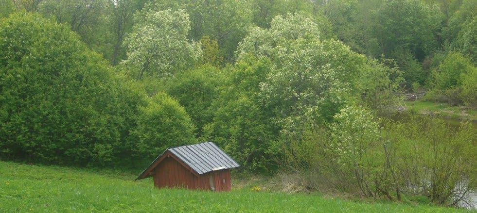 Avohakkuusta huolimatta myös Mottisuo kiitoteiden välissä on suotyypiltään puustoinen suo, eikä siitä ole muodostettu erillistä elinympäristötyyppiä.