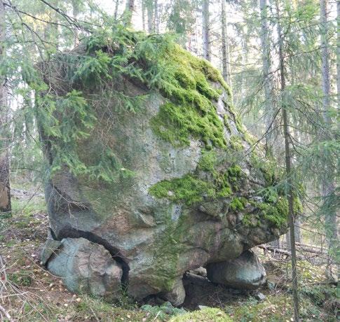 Muutamia arvokkaita kallioketoja ja entisiä laidunniittyjä on jäljellä mm. Tuupakassa, Seutulassa ja Westerkullassa.