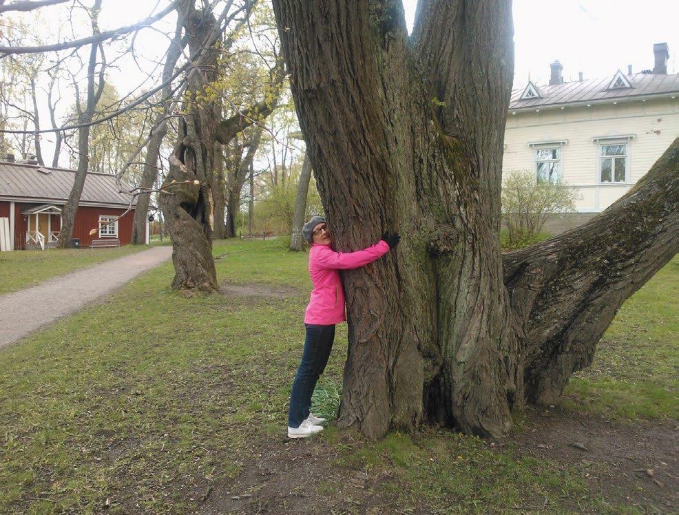 sekä esteettisesti, elämyksellisesti että luonnon monimuotoisuuden kannalta. Puu antaa varjoa ja sitoo kaupunkipölyä. Se tarjoaa linnunlaulua ja tuoksuu kesäsateen jälkeen.