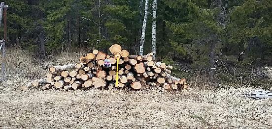 10 2.2 Trestima stack- pinomittausohjelman toimintaperiaate Trestima Stack- pinomittaus sovellus toimii älypuhelimella tai tabletilla.