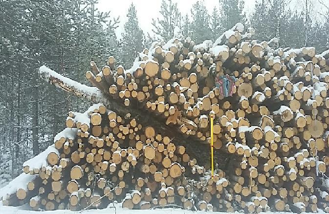 Sekavastakin kasasta sillä saa ihan totuudenmukaisia tuloksia, mikäli etureuna on vain suhteellisen reiätön.