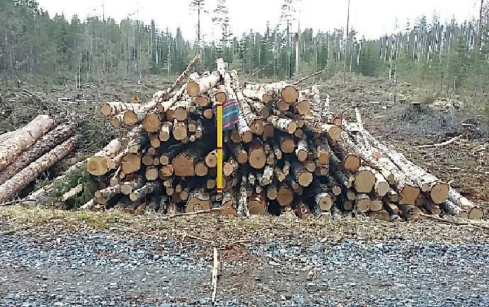 32 Kasassa olevat roskat ohjelma myös herkästi saattaa tulkita pölkyn päiksi ja laskee ne mukaan, yleensähän tästä ei ole muuta vaikutusta kuin runkoluvun nousu niillä parilla puulla.