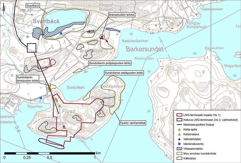 Finngulf LNG LNG-terminaali Inkooseen suunnittelualueen rajalta. (Finventia 2013) Fjusön niemellä ja sen lähiympäristössä tehdyn sudenkorentoinventoinnin ensimmäisen käynnin aikana 28.5.