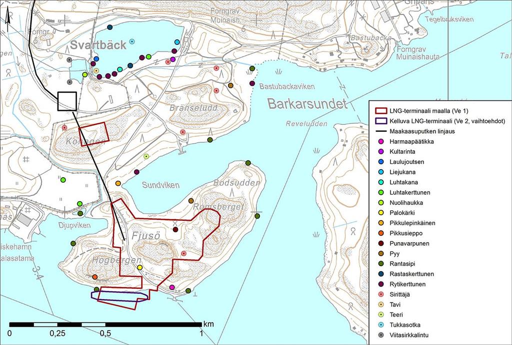 ympäristön nykytila ja HANKKEEN vaikutusten arviointi Svartbäckin suuremmalla lammella.