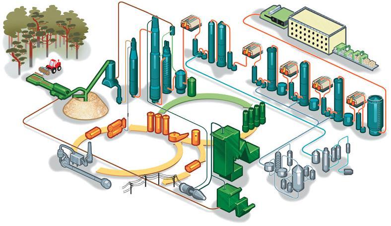 16 Kuva 1 Sulfaattisellun valmistusprosessi. (Knowpulp 2012.) Kuitulinjan olennaisimmat osastot ovat kuorimo, keittämö, pesemö, lajittelu, valkaisu ja kuivauskone.