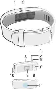 Perusasiat Johdanto SmartBand 2 on lisälaite, joka voidaan yhdistää Android -laitteisiin langattomasti Bluetooth -yhteyden avulla.