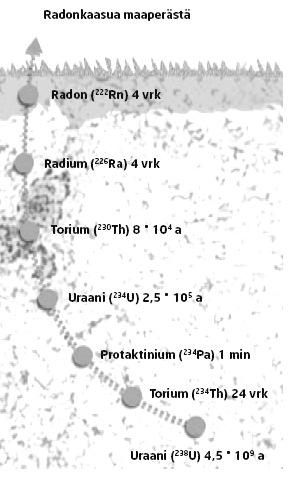 Uraani-238: 238 U 206 Pb, puoliintumisaika 4.51 10 9 a. Sarjaan kuuluu muun muassa kaasumainen 222 Ra, jonka puoliintumisaika on 3,82 vrk. Tärkein gammasäteilijä 214 Bi.