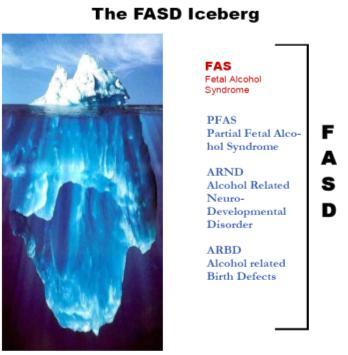 Fetal alcohol spectrum disorder Tupakan aiheuttamat sikiöhaitat Tupakointi hidastaa sikiön kasvua ja kehitystä.