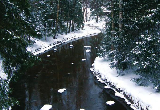 Riihimäki a town of good connections and good water Picture 8. Vantaa River. Beautiful nature and stream are also very important to citizens. (Juuti 2009) security issues.