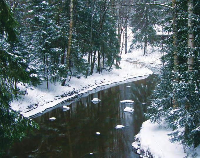 Hyvien yhteyksien ja hyvän veden kaupunki Kuva 5. Puhdas vesielementti on tärkeä osa suomalaisen kokemusmaailmaa. Kuvassa Vantaanjoki kuvattuna Pirttiläntien sillalta pohjoiseen päin.