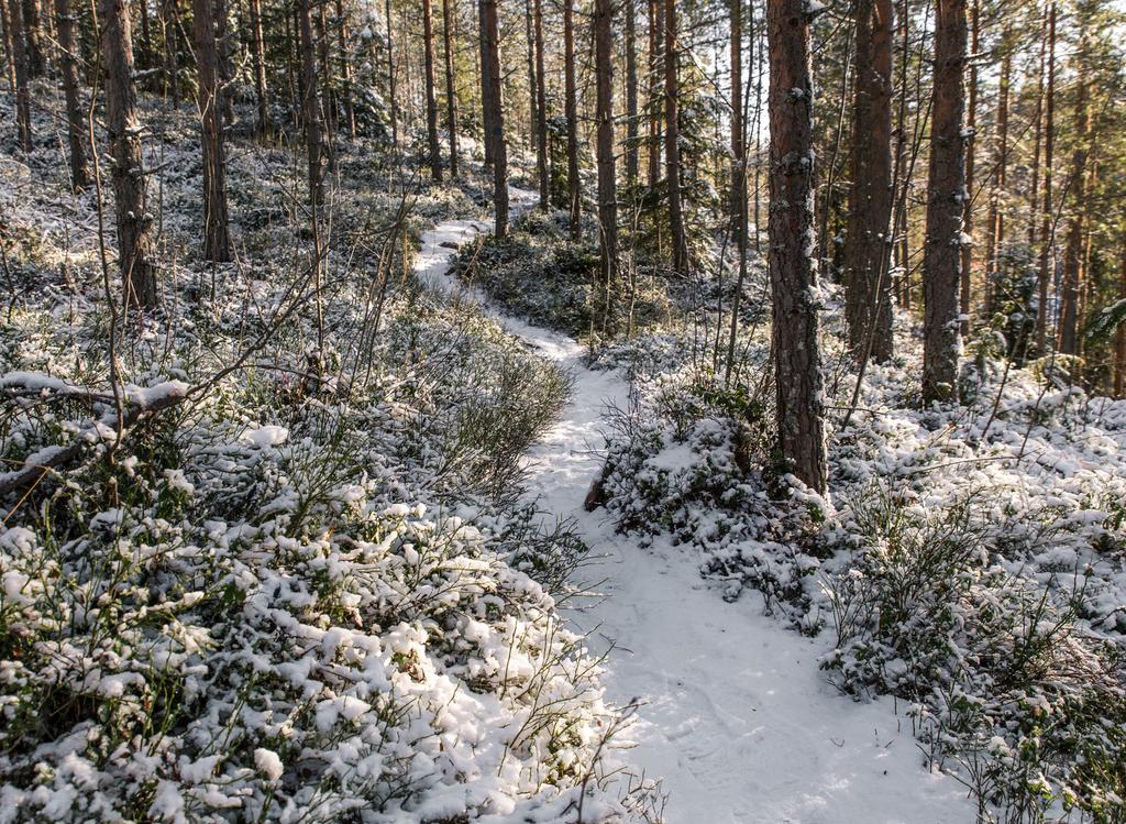 Julkaisu on osa Puheenvuoroja Ympäristötiedon foorumin tilaisuudesta -sarjaa. Ympäristötiedon foorumi edistää ajankohtaisen, tieteellisen ympäristötiedon käyttöä yhteiskunnallisessa päätöksenteossa.