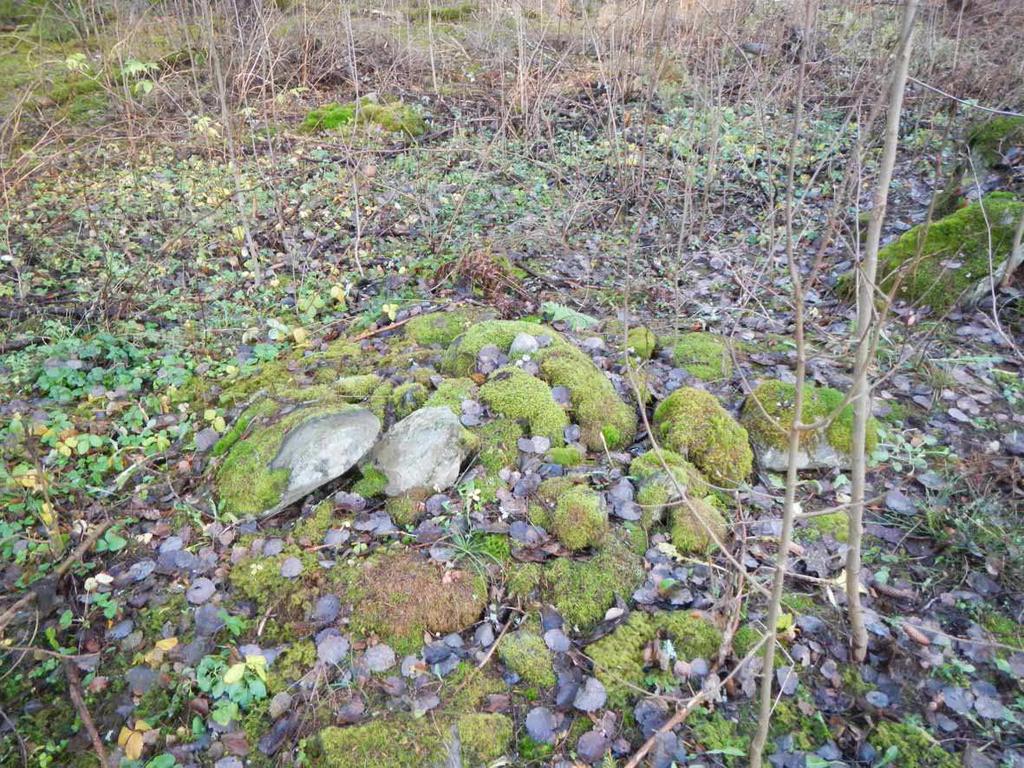 Rakenne G (6805389/326139): Soikea, pituudeltaan 2,5 metriä, leveydeltään 1,2 metriä ja korkeudeltaan noin 0,4 metriä oleva kiviröykkiö. Kivet röykkiössä ovat halkaisijaltaan 0,2 0,5 metriä.