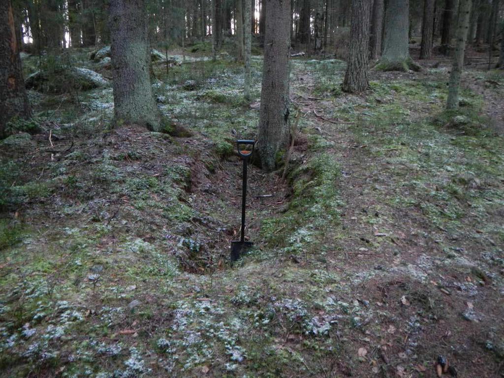 ja se vaikuttaa resentiltä. Kuopan seinämän alaosaan kaivetussa koekuopassa ei ollut havaittavissa huuhtoutumiskerrosta.