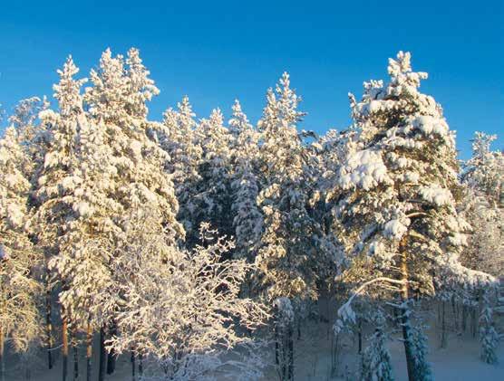 TIETOJA TILINPÄÄTÖKSESTÄ 2015 RAHOITUSLASKELMA 1.1.-31.12.