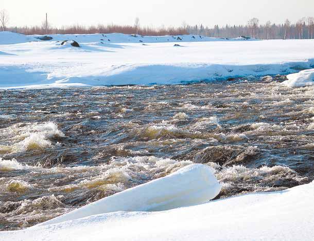 SÄHKÖMARKKINALAIN MUKAISET LIITETIEDOT VERKKOTOIMINNAN TULOSLASKELMA 1.1.-31.12.