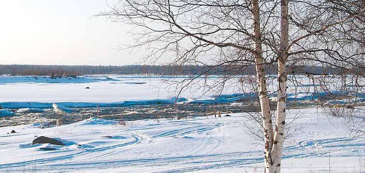 VUOSIKERTOMUS 2015 Yhtiön hallinto OMISTUSSUHTEET Yhtiö on 100 % Keminmaan kunnan omistama. Osakepääoma on 504 564. YHTIÖKOKOUS Varsinainen yhtiökokous pidettiin 15.4.2015 Keminmaan kunnan valtuustosalissa.