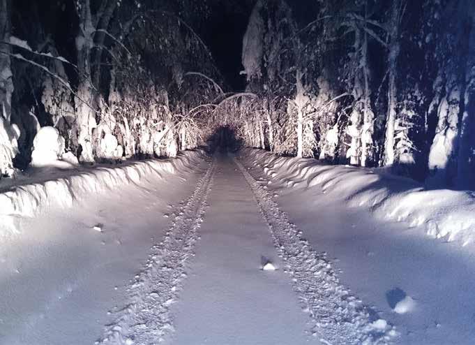 JÄRJESTELMÄT RAKENTAMINEN VERKOSTO Yöllinen vikakeikka Sompujärvellä tammikuussa, lumi painoi puut sähkölinjoihin.