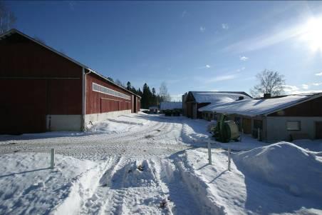 58 Tilan lehmät lypsää lypsyrobotti, joka on vähentänyt päivittäistä työaikaa navetalla huomattavasti.