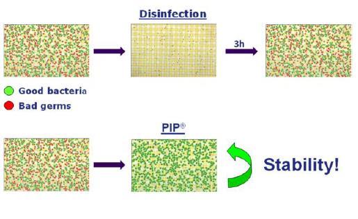5.2 PIP konsepti 5.2.1 Mikrobien hallitseminen Yksi vaihtoehto desinfioinnille on mikrobien hallitseminen. Bakteerit ovat elintärkeitä elämän jatkumiselle maapallolla.