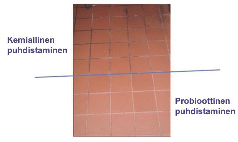 5.2.2 Kuinka käsitellä biofilmiä? Biofilmin muodostuminen ja läsnäolo on, kuten nimikin selvästi tuo esille, luonteeltaan biologinen ongelma.