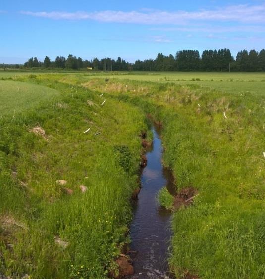 Ravinneneutraalius kunnissa on Kotieläintilojen lannan tehokasta käyttöä niin