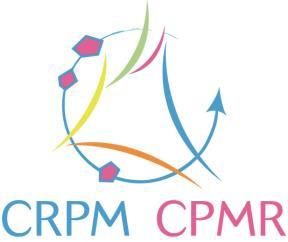 14, MH 24.8.2015 10:00 / Pykälän liite: CPMR20150908 Sivu 79 CONFERENCE OF PERIPHERAL MARITIME REGIONS BALTIC SEA COMMISSION 6, rue Saint-Martin - 35700 RENNES F Tel. + 358 94 76 74 11 Fax.