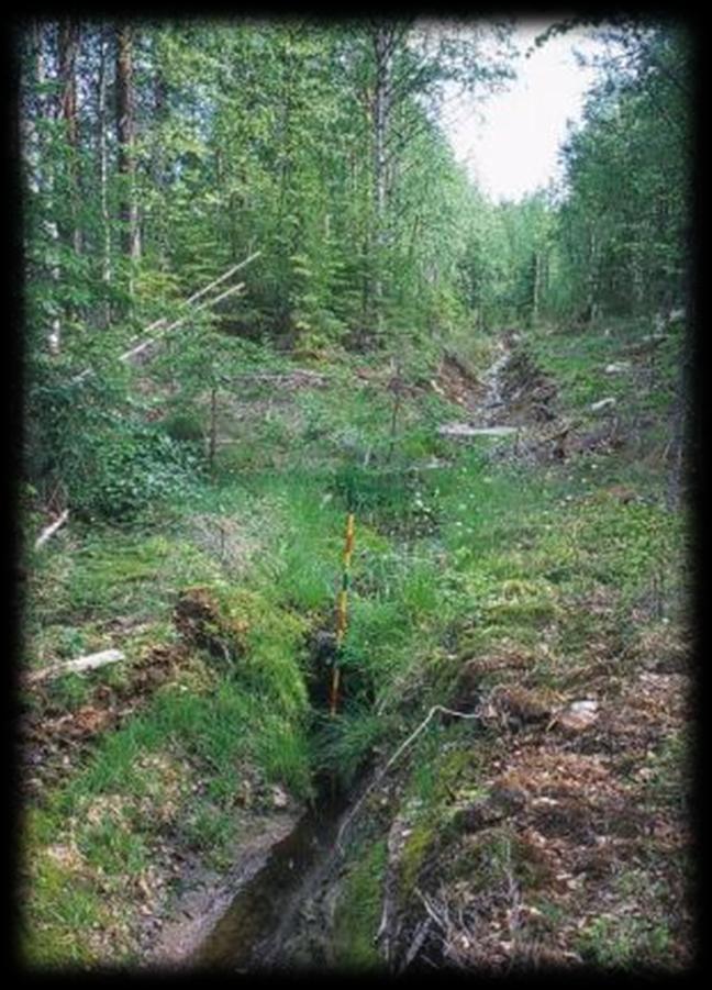 Vesiensuojelumenetelmät Ojakohtaista kiintoaineskuormaa voidaan vähentää jättämällä ojaan kaivu-