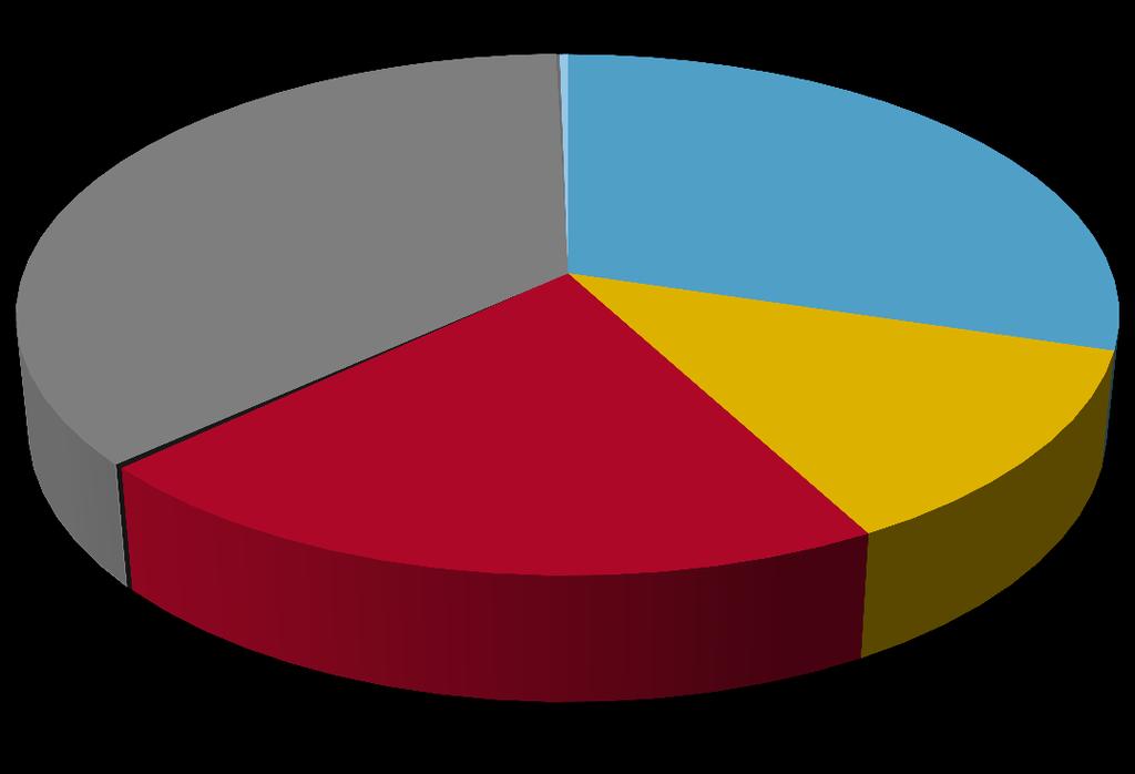 36 % Pa10 menot (425 M ) Sisäiset menot 155,3 Rahoitusmen ot; 0,6 21 % Palvelujen ostot 89,4