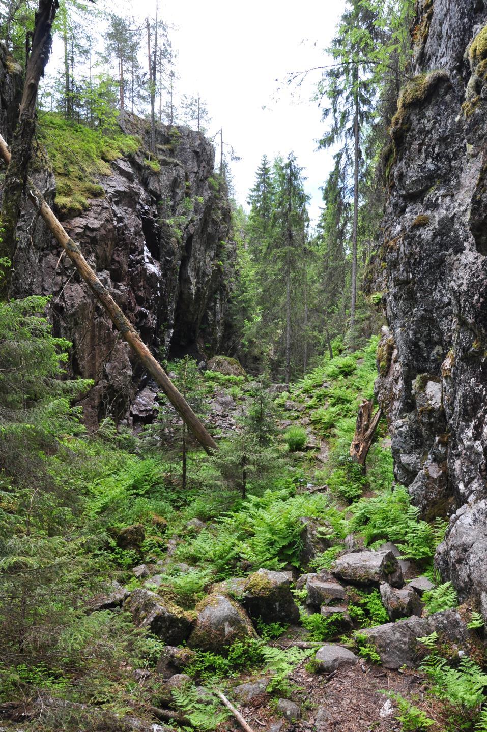KESKI-SUOMEN MAAKUNTAKAAVAN TARKISTUS Maakuntakaavan tarkistuksen vaikutukset Natura 2000