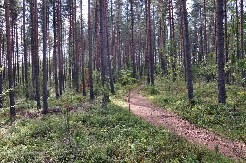 16 mikä korostaa ja edistää Natura-alueiden huomioon ottamista. Kaavasta poistettiin kaikki arvokkaat geologiset muodostumat ja Muuramenharjun S-merkintä.