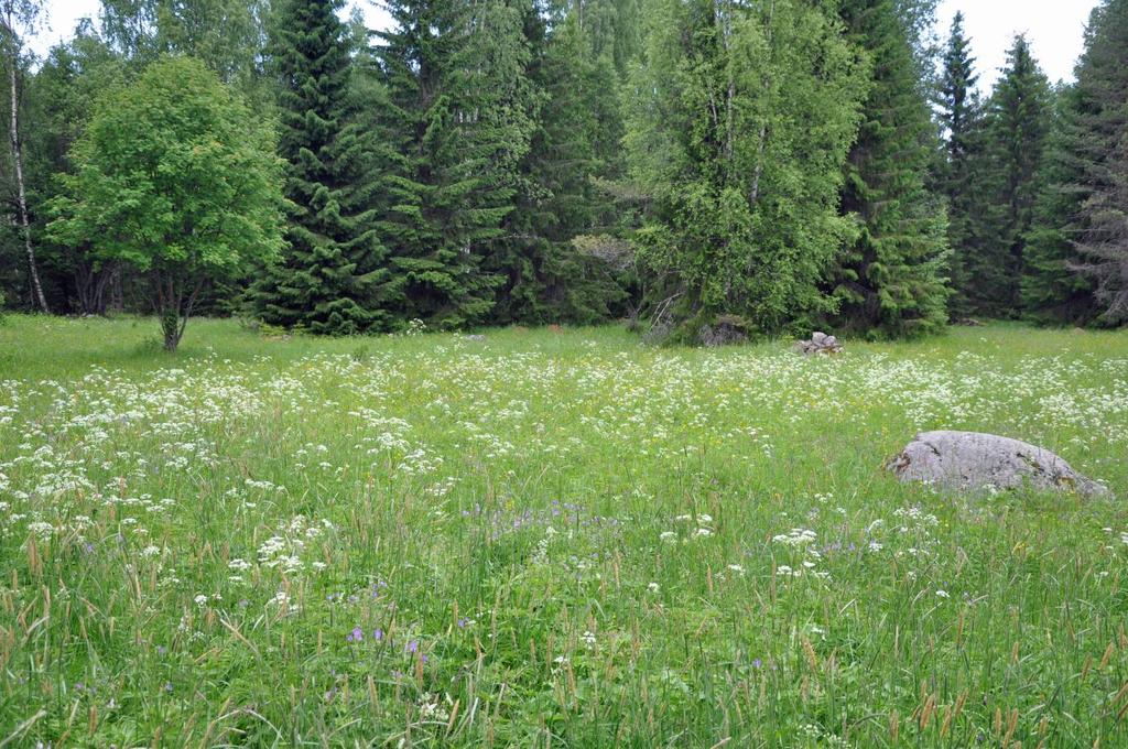 31 Maakuntakaavamerkinnät: Alue on kaavassa luonnonsuojelualueena (S). Alueen pohjois- ja luoteispuolella on turvetuotantoalueita (EO/tu). Vahvasenjoen eteläpäässä on ohjeellinen ulkoilureitti.
