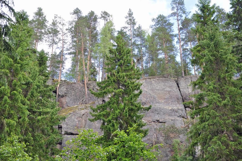 38 Aluetta sivuaa päävesijohdon pitkän aikavälin yhteystarve (v). Arvioidut vaikutukset: Suojelualuemerkintä edistää Kolima-Keitele -koskireitin suojelun toteuttamista ja luontoarvojen säilymistä.