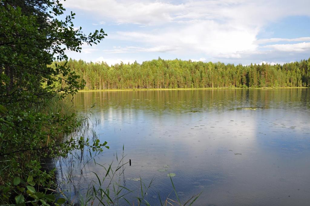 49 kittiin mikä korostaa ja edistää Natura-alueiden huomioon ottamista. Kaavasta poistettiin kaikki turvetuotantoalueet.