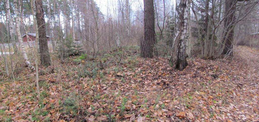 Resentti kuopanne Valkeakoskelle vievän tien varressa kohteessa Iltasmäki. Kuvattu luoteesta.